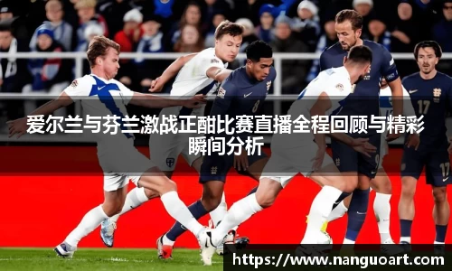 爱尔兰与芬兰激战正酣比赛直播全程回顾与精彩瞬间分析